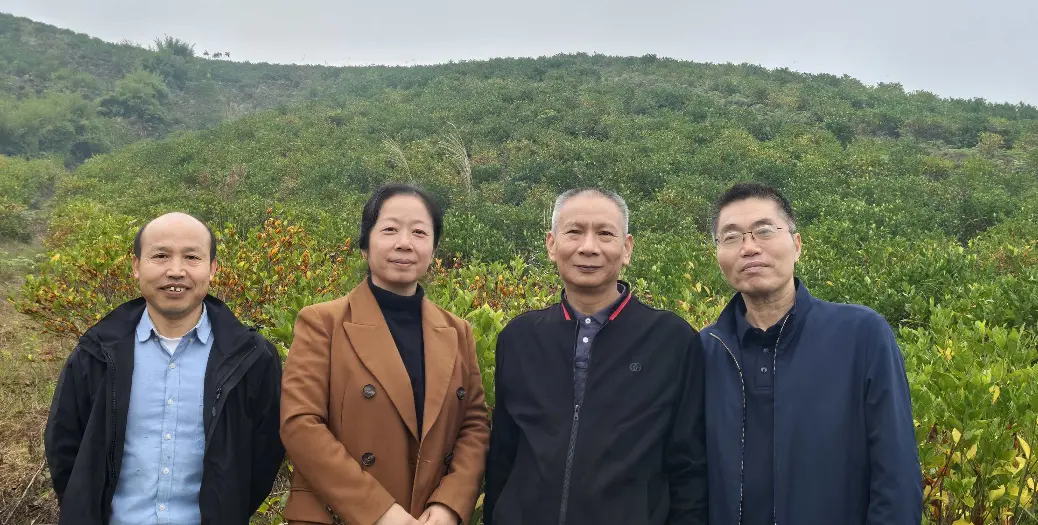 Field Visit at Our Green Planting Base of Gardenia, Pomelo and Purple Sweet Potato Field Visit at Our Green Planting Base of Gardenia, Pomelo and Purple Sweet Potato