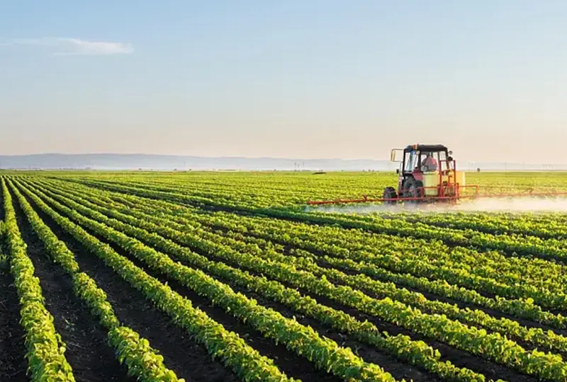 Agriculture Agriculture