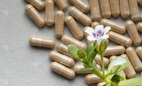 Bacopa Monnieri Extract Bacopa Monnieri Extract