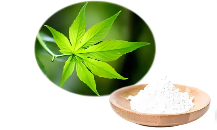 Sweet Tea Extract Sweet Tea Extract