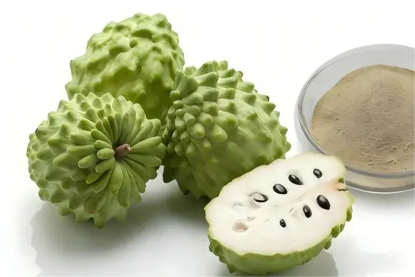 Annona Squamosa Fruit powder