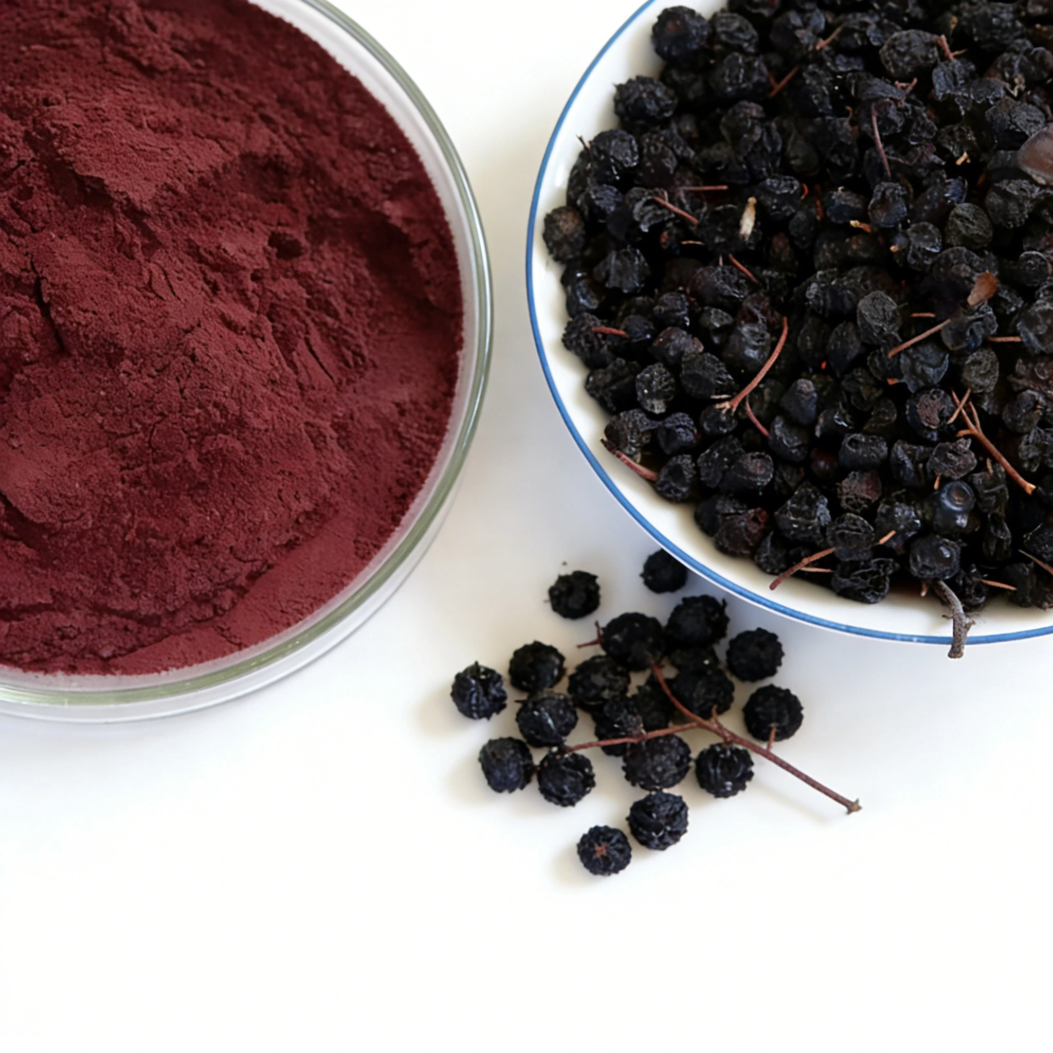 Black Chokeberry Extract