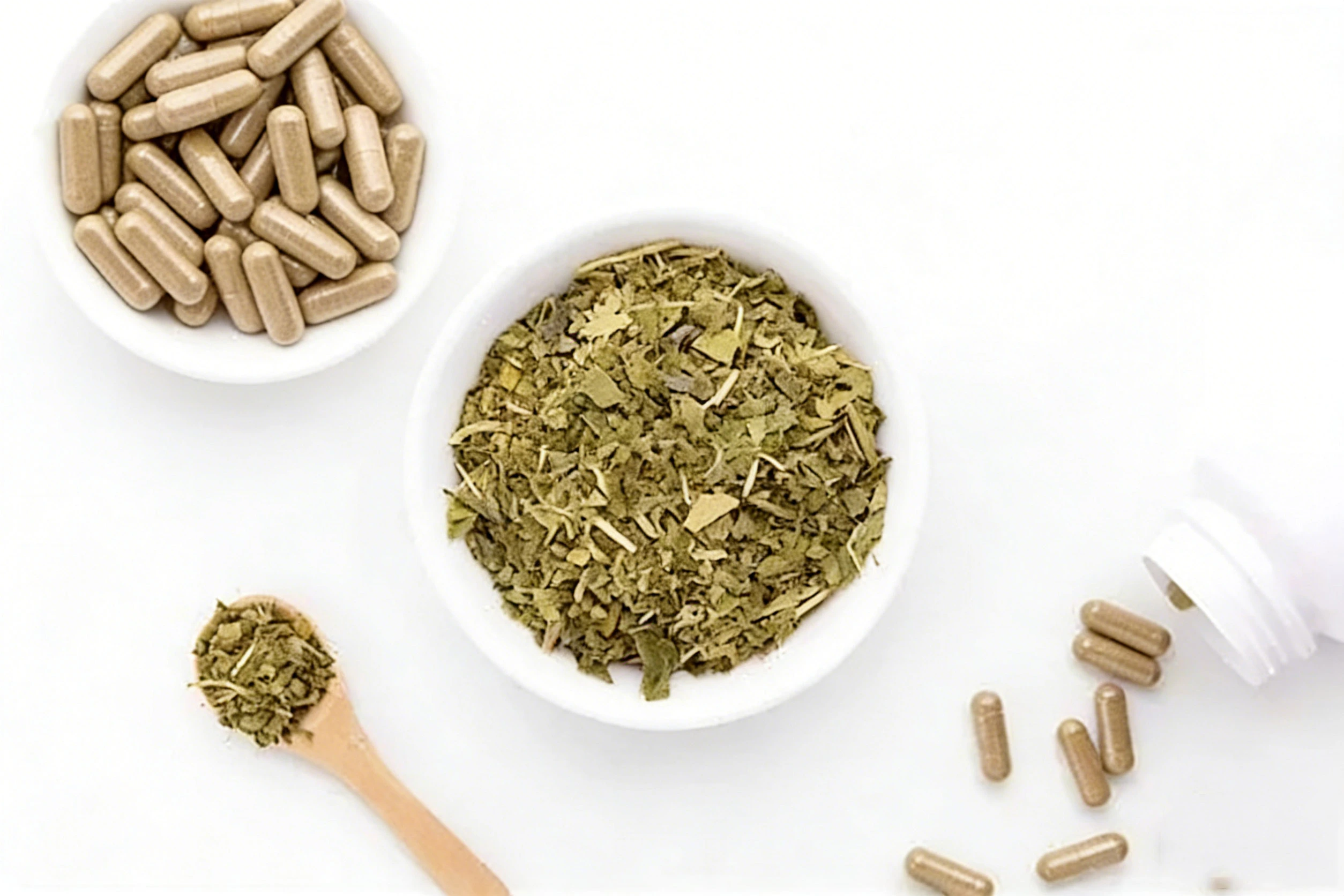 Gymnema Sylvestre Extract Powder Gymnema Sylvestre Extract Powder