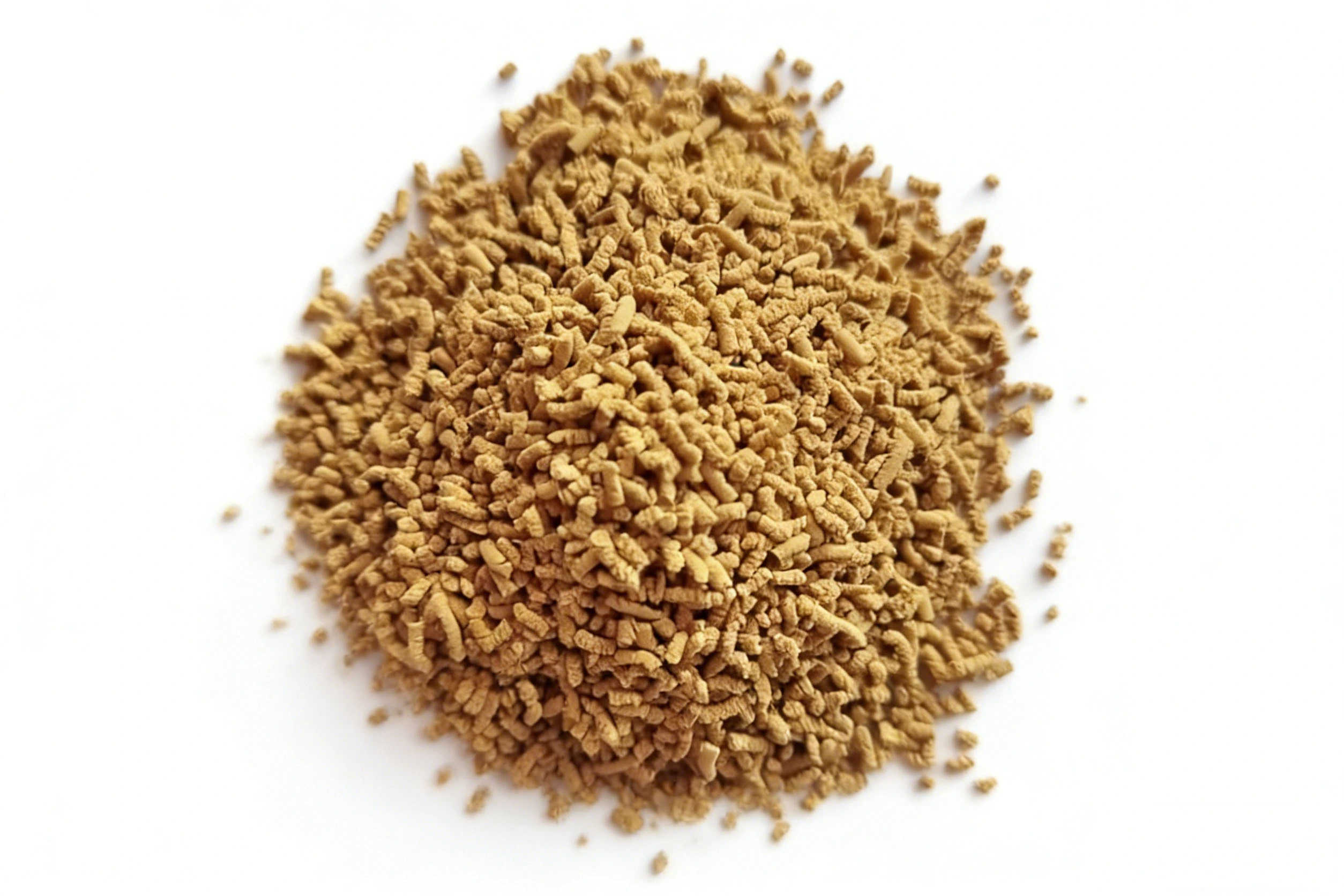 Isatis Root Extract Isatis Root Extract