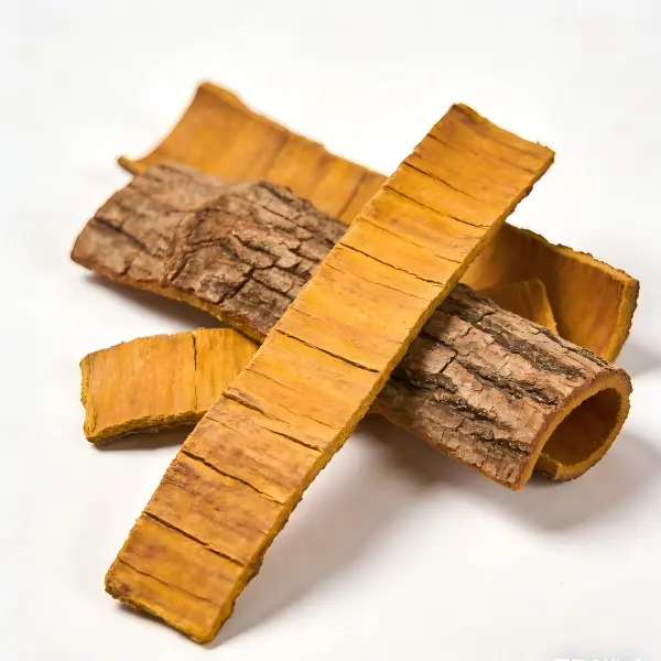 Cortex Phellodendri Extract Cortex Phellodendri Extract