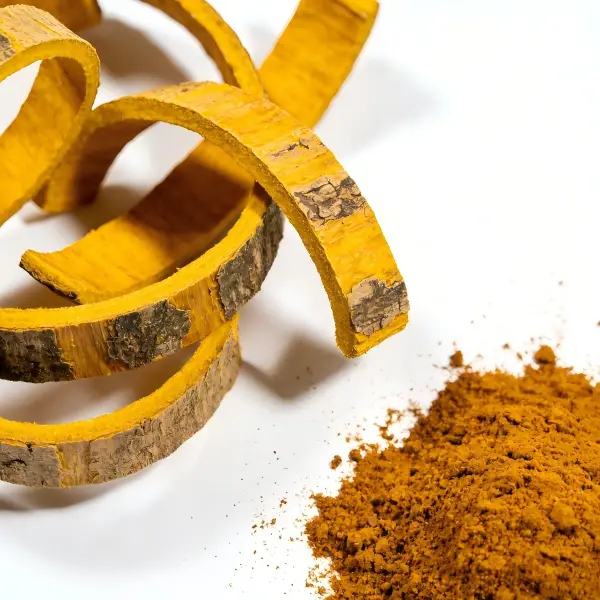 Cortex Phellodendri Extract Cortex Phellodendri Extract