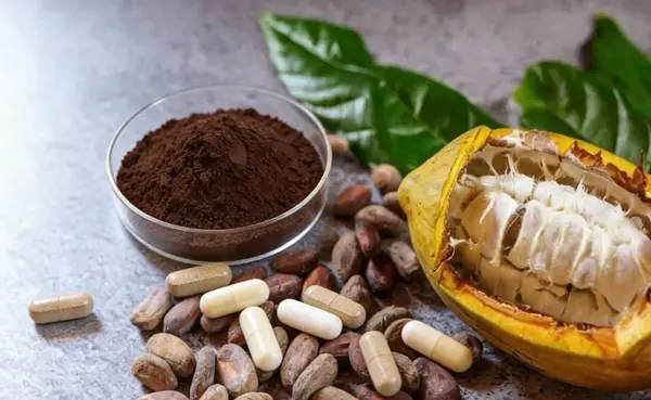 Cocoa Seed Extract