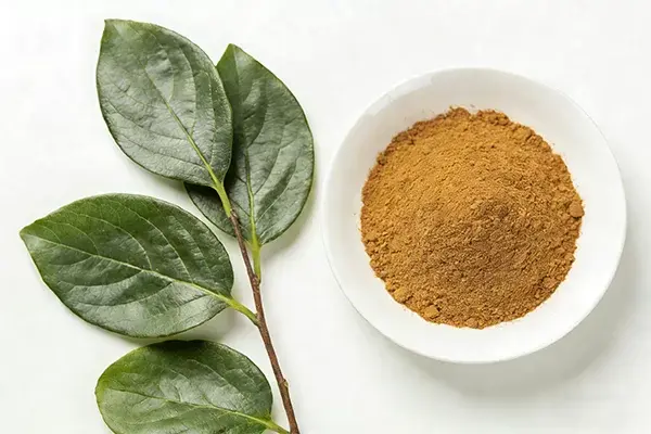 Persimmon Powder Persimmon Powder