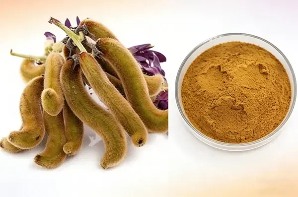 Mucuna Pruriens Powder