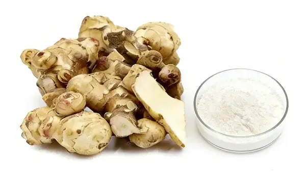 Jerusalem Artichoke Extract Jerusalem Artichoke Extract
