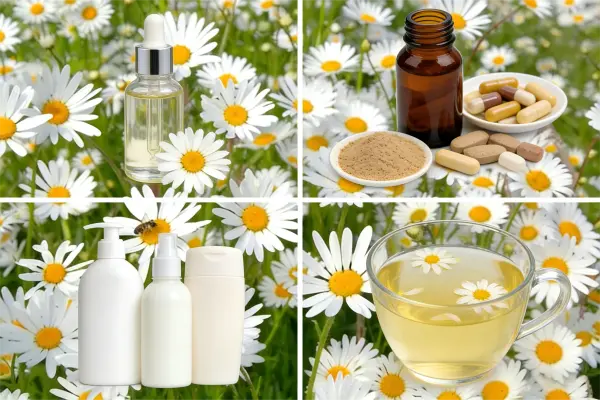 Chamomile Extract Powder
