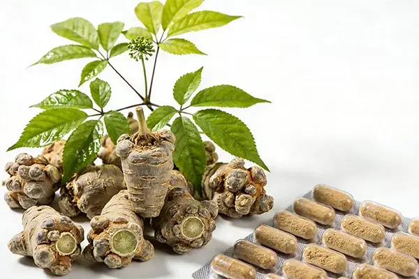 Notoginseng Application