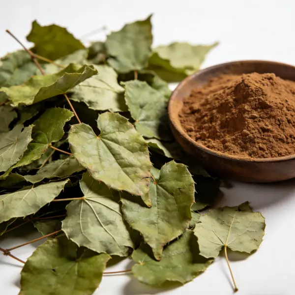Epimedium Extract Powder Epimedium Extract Powder