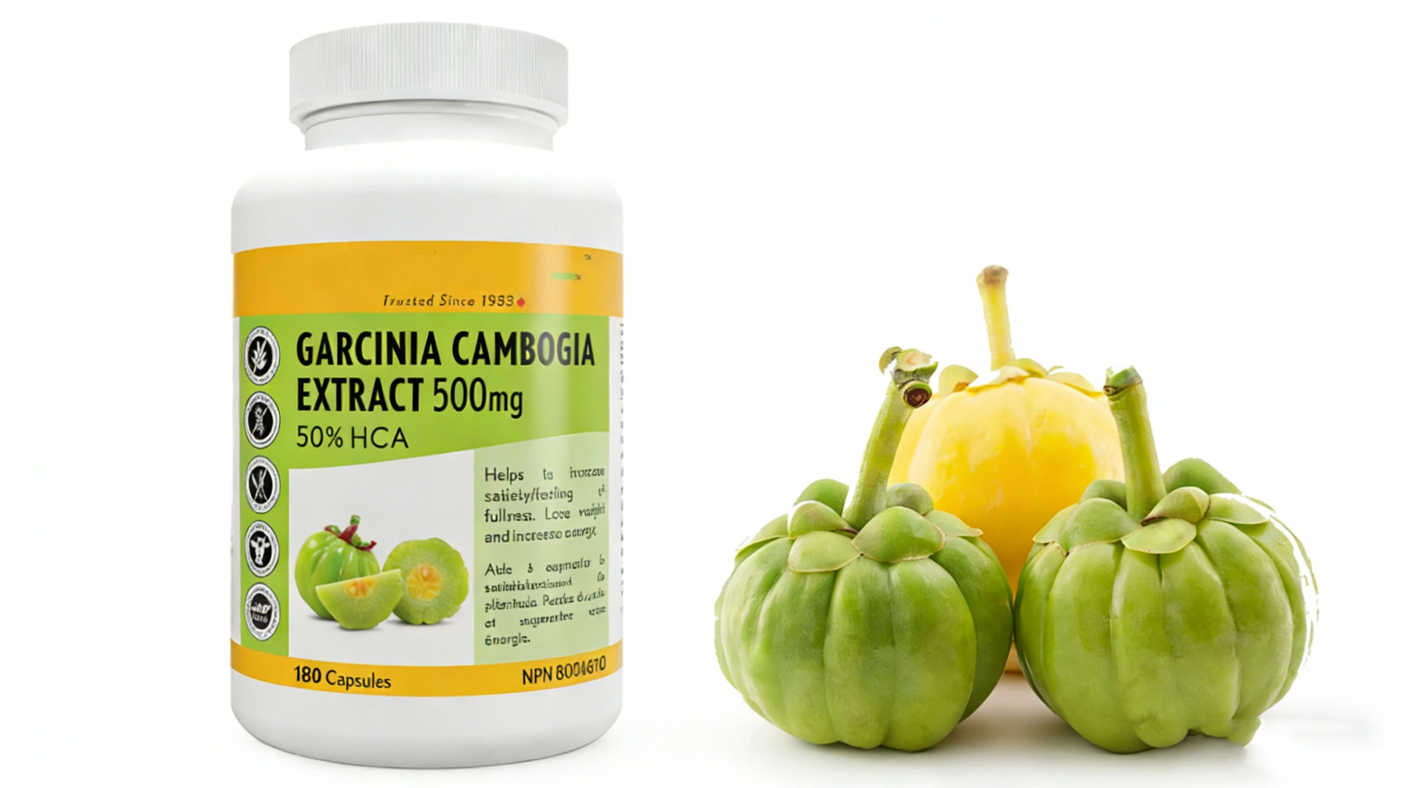 Garcinia Combogia Extract Product