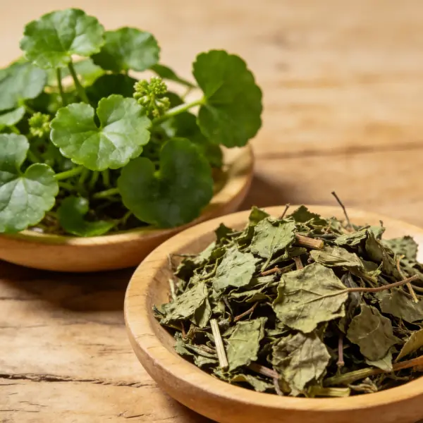 centella asiatica extract powder centella asiatica extract powder