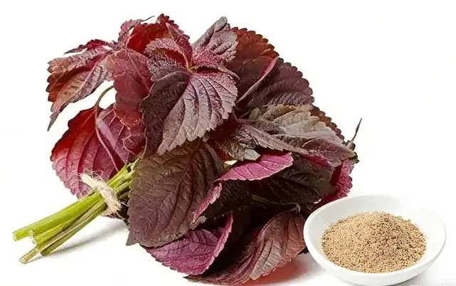 Perilla Seed Extract