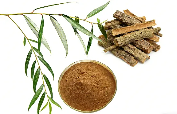 White Willow Bark Extract Powder