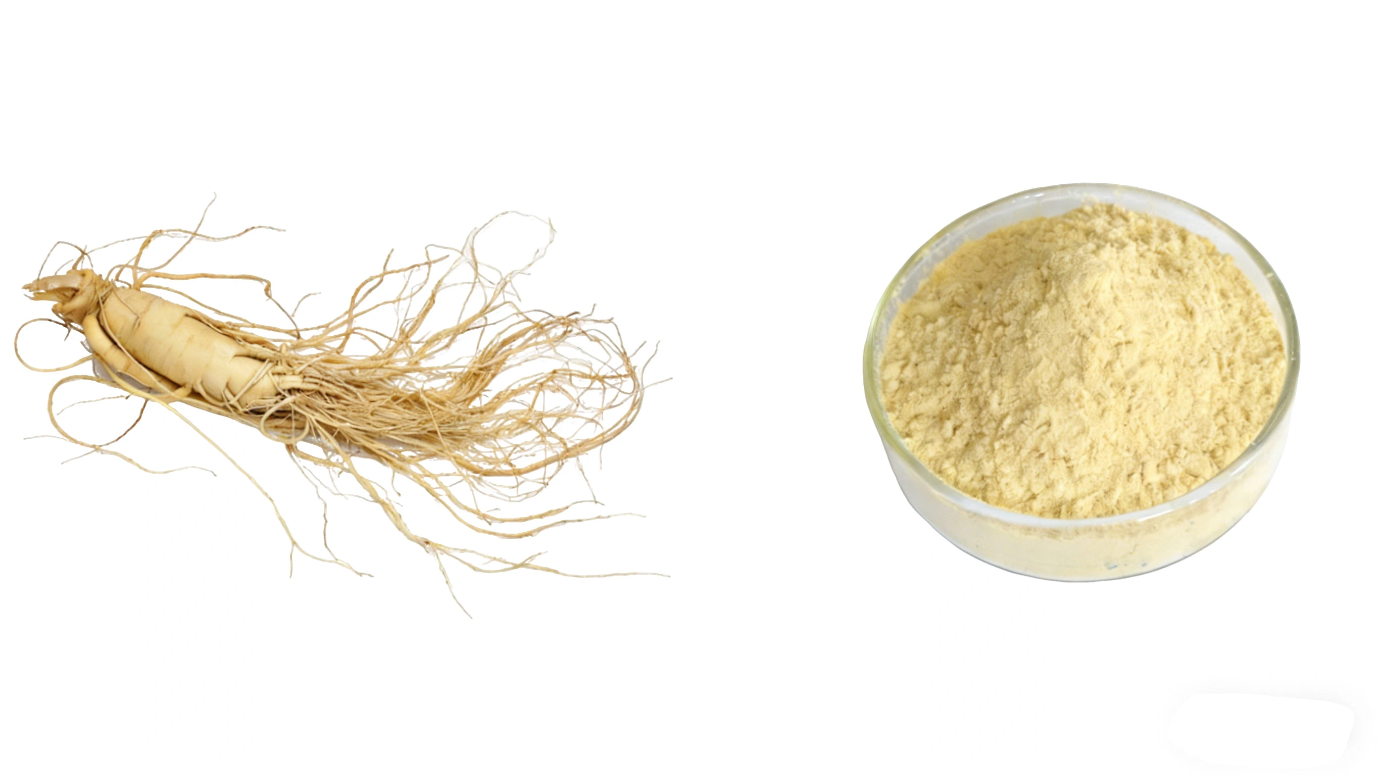 Ginseng Extract Powder Ginseng Extract Powder