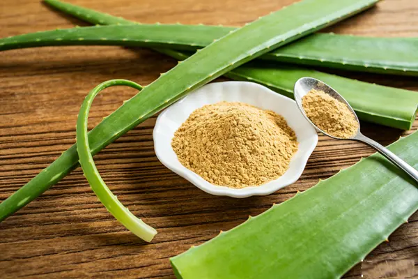 Yucca Extract Powder Yucca Extract Powder