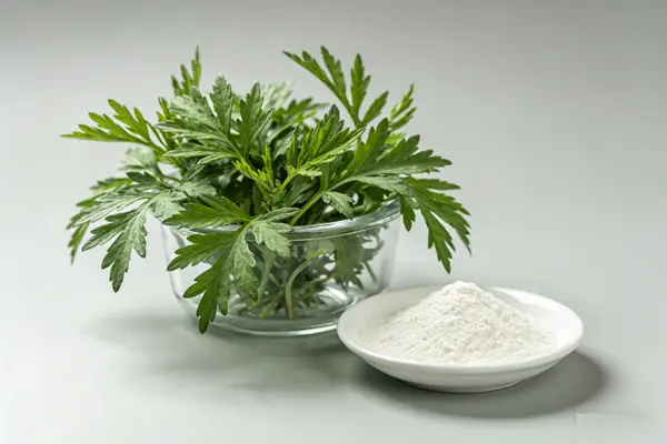 Artemisinin Powder Artemisinin Powder