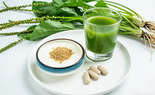 Alismatis Rhizoma Extract Alismatis Rhizoma Extract