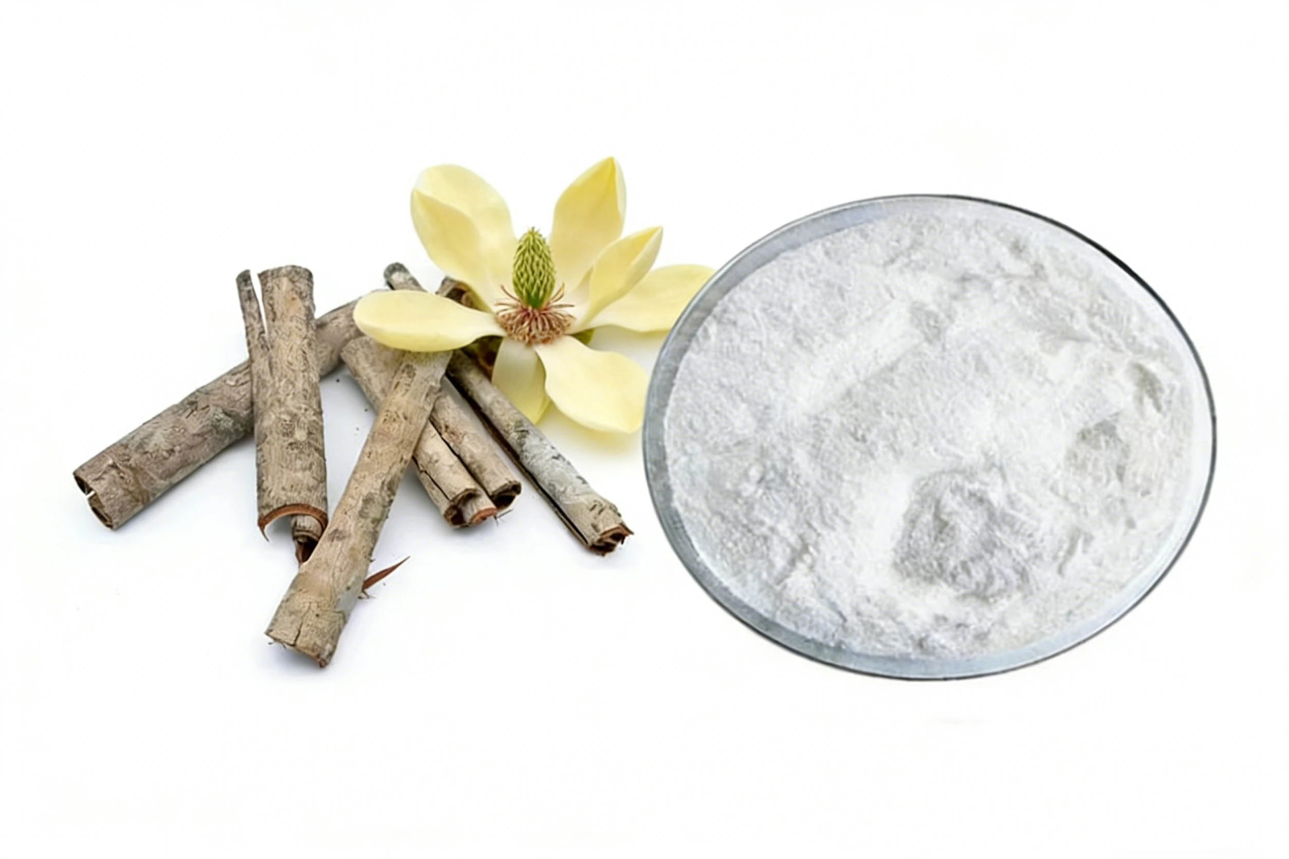 Magnolia Bark Extract Powder Magnolia Bark Extract Powder