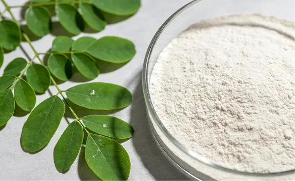 Organic Moringa Leaf Extract Organic Moringa Leaf Extract