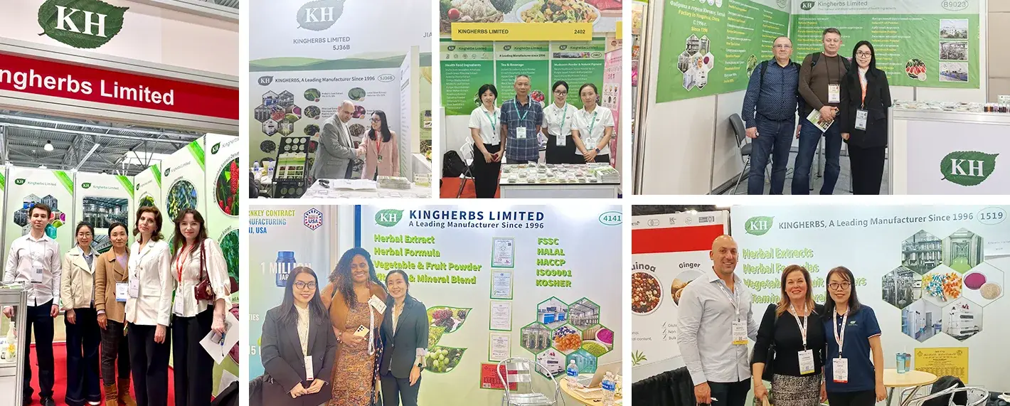 Our Teams & Exhibitions