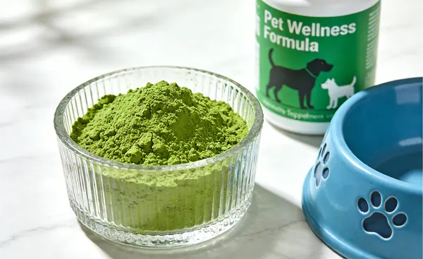 Spinach Extract Powder