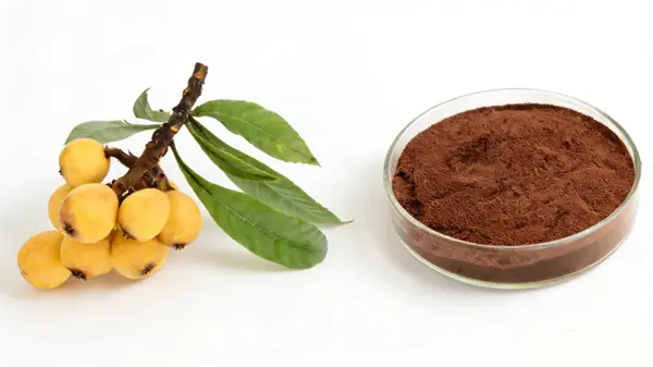 Loquat Leaf Extract