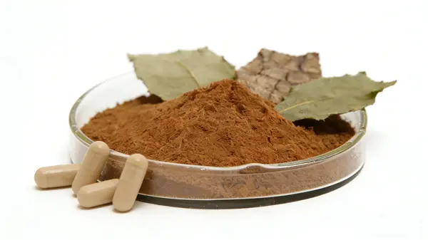 Eucommia Leaf Extract