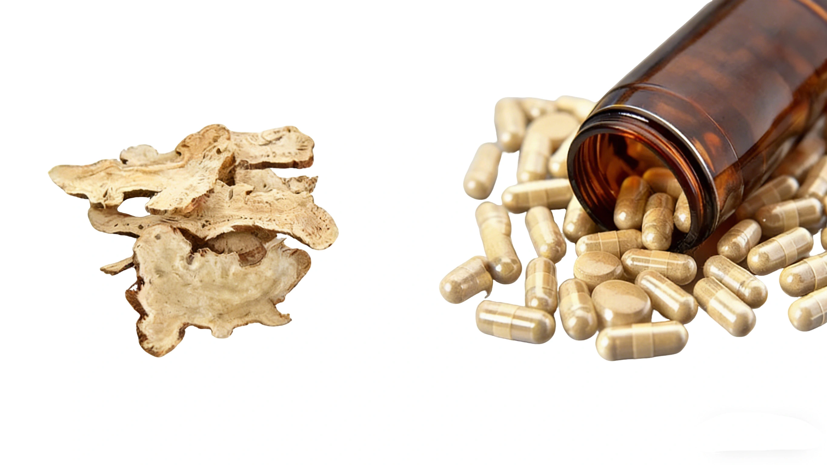 Largehead Atractylodes Products Largehead Atractylodes Products