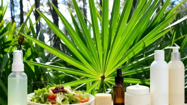 Natural Saw Palmetto Oil Natural Saw Palmetto Oil