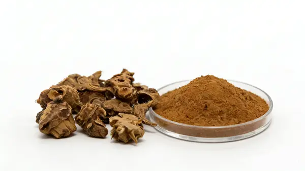 Ligusticum Rhizome Extract 