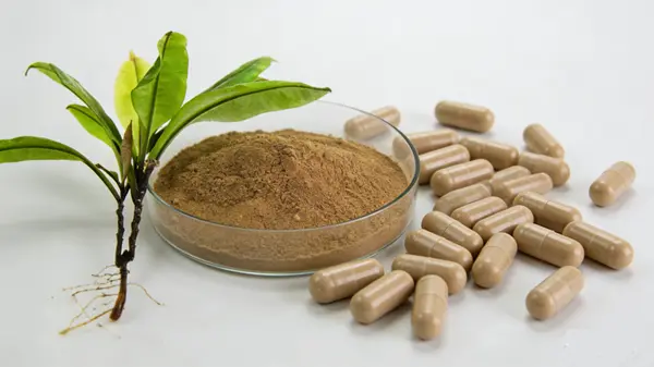 Kacip Fatima Extract Kacip Fatima Extract