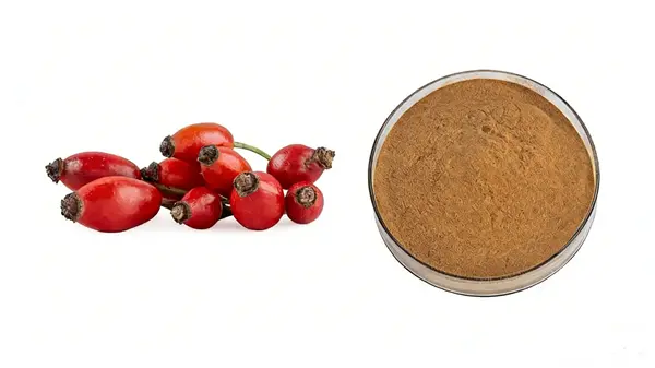 Rose Hip Extract Powder Rose Hip Extract Powder