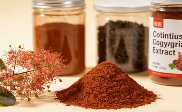 Cotinus Coggygria Extract