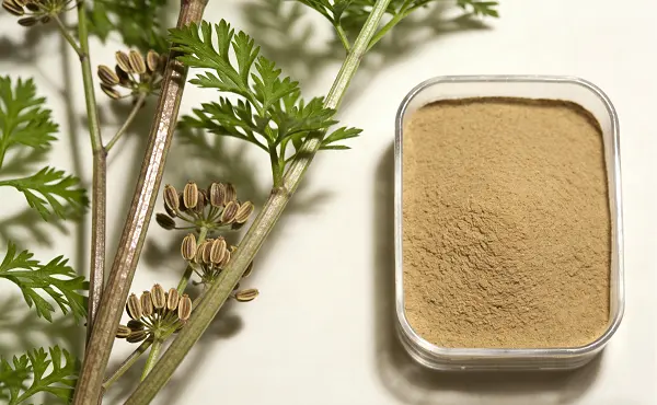 Celery Seed Extract Powder
