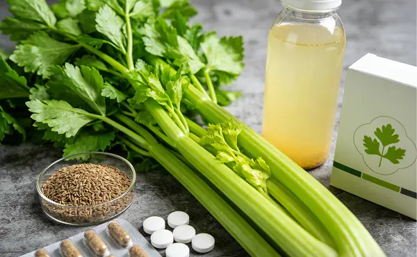 Celery Seed Extract Powder Celery Seed Extract Powder