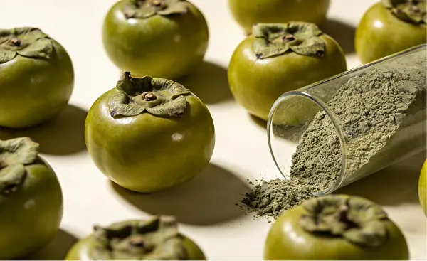 Green Persimmon Fruit Extract