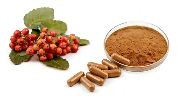 Hawthorn Fruit Extract Hawthorn Fruit Extract