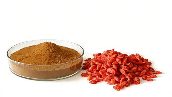 Wolfberry Extract Wolfberry Extract