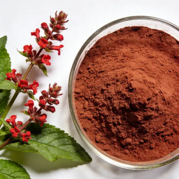 Red Clover Extract Powder