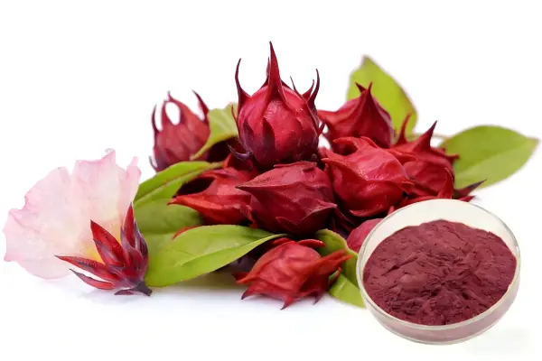 Hibiscus Flower Extract Hibiscus Flower Extract