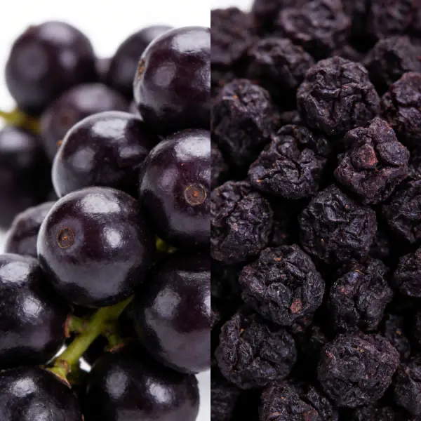 Acai Berry Extract Acai Berry Extract