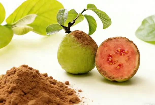 Guava Leaf Extract Powder