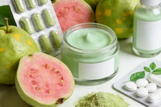 Guava Leaf Extract Powder