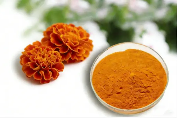 Marigold Extract Marigold Extract