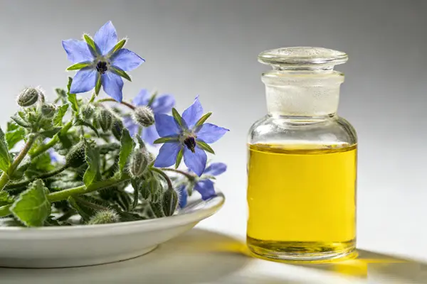 Borage Oil