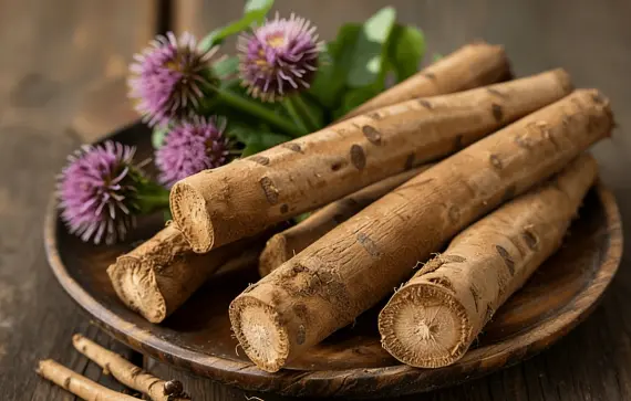 Burdock Extract Powder Burdock Extract Powder